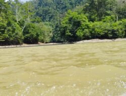 Beras Naik 30 Persen di Long Apari, Pemkab Mahulu Pantau Dampak Kemarau
