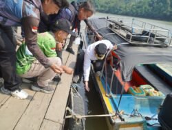Bukan Sekadar Lomba, Angler Mahulu Lepas Bibit Ikan untuk Jaga Ekosistem Sungai Mahakam